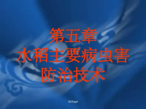 水稻主要病虫害防治技术