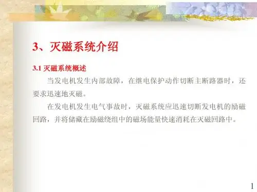 灭磁系统介绍
