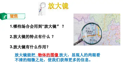 六年级上册科学课件  1放大镜   教科版  (共13张PPT)