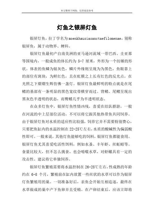 灯鱼之银屏灯鱼
