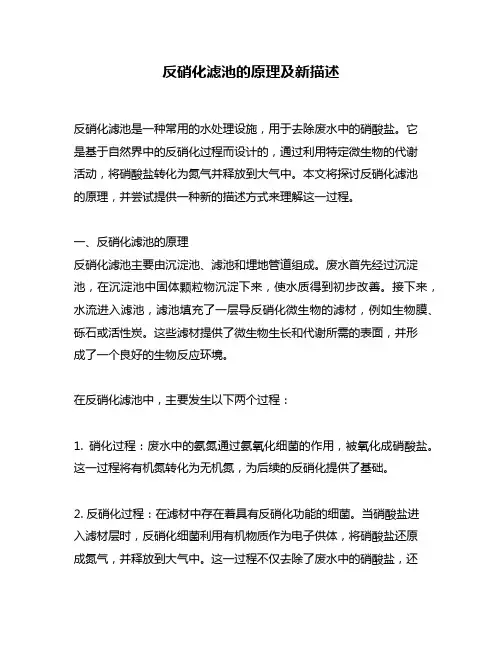 反硝化滤池的原理及新描述