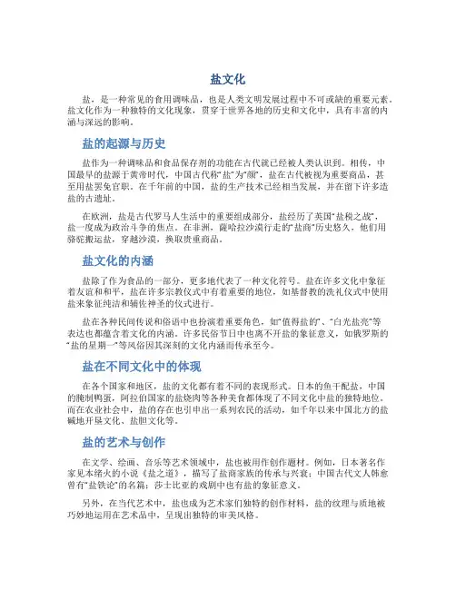 盐文化资料