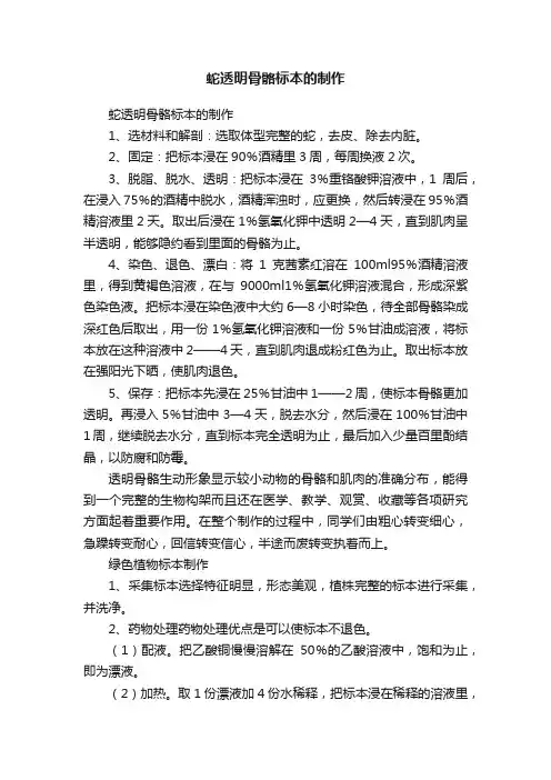 蛇透明骨骼标本的制作