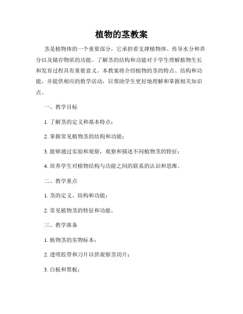 植物的茎教案