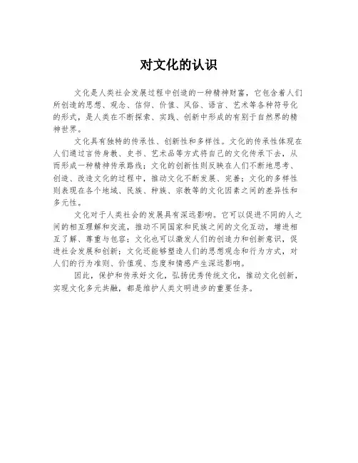 对文化的认识