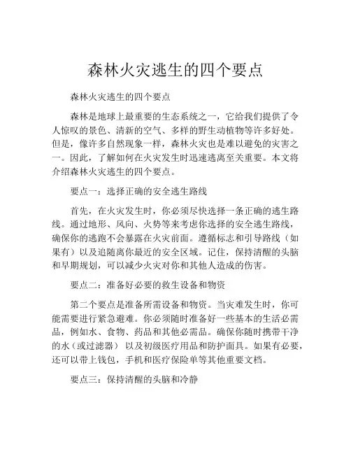 森林火灾逃生的四个要点