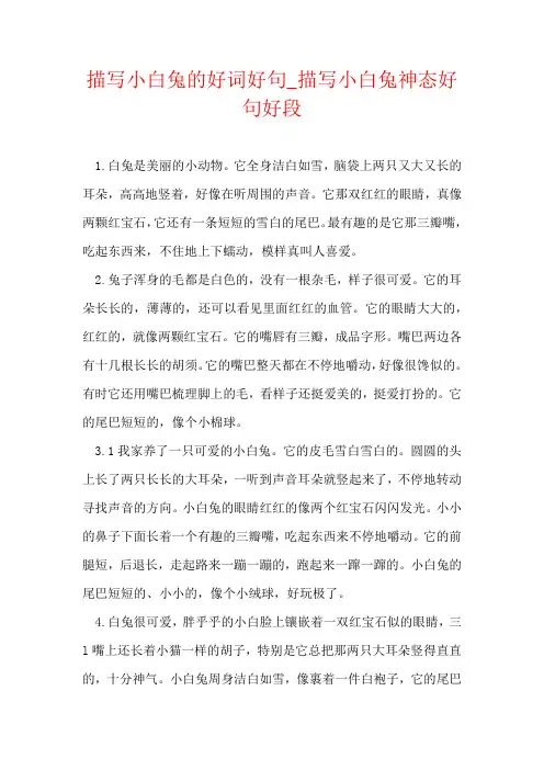描写小白兔的好词好句_描写小白兔神态好句好段