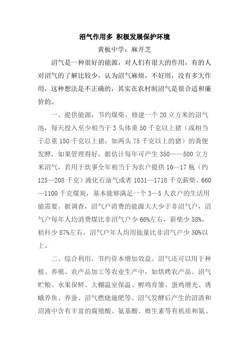 沼气池作用多 积极发展保环境