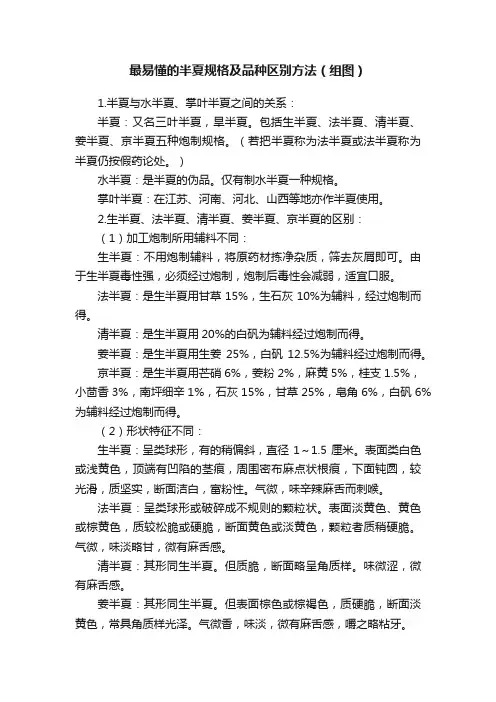 最易懂的半夏规格及品种区别方法（组图）