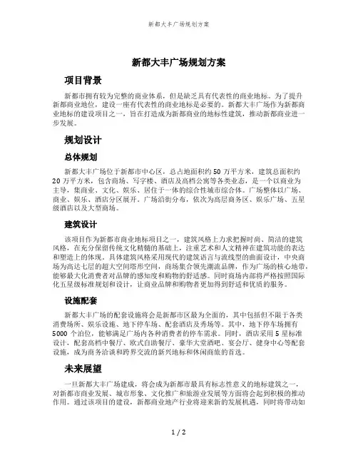 新都大丰广场规划方案