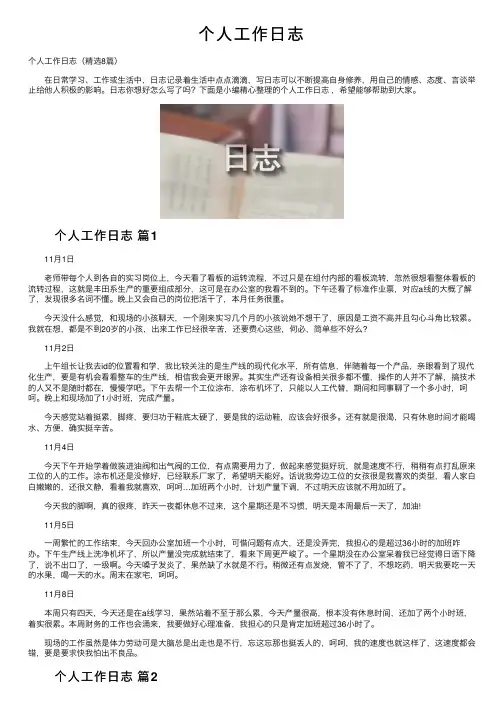 个人工作日志
