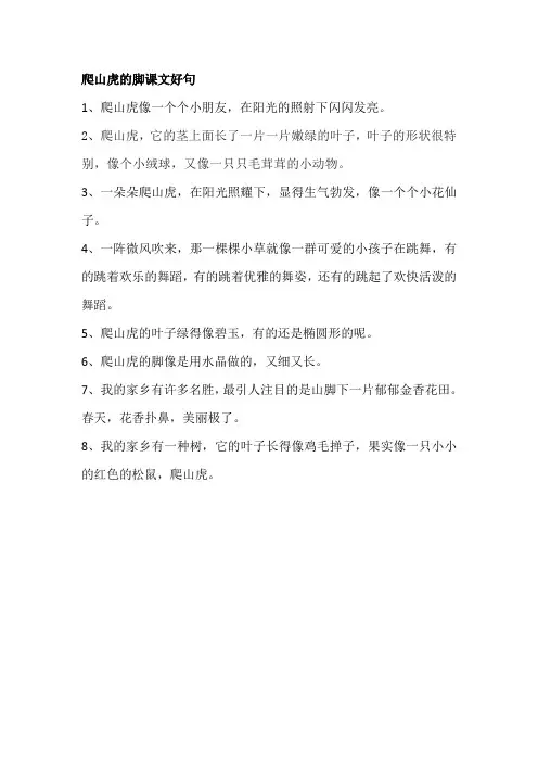 爬山虎的脚课文好句