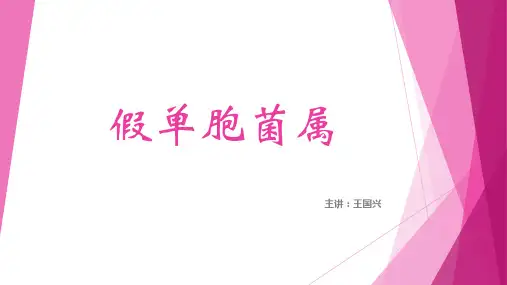 假单胞菌属解析