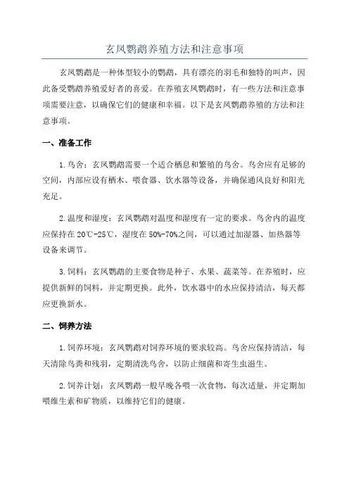 玄凤鹦鹉养殖方法和注意事项