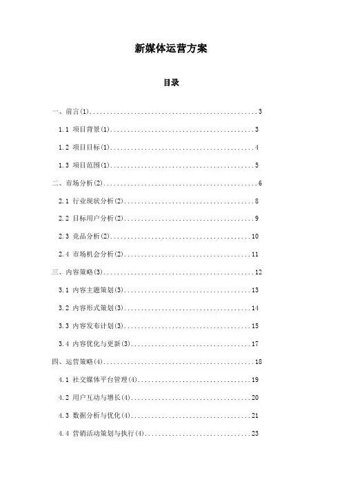新媒体运营方案