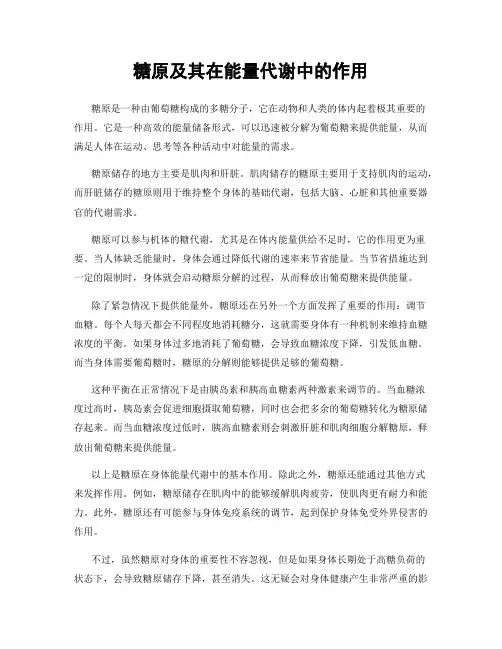 糖原及其在能量代谢中的作用