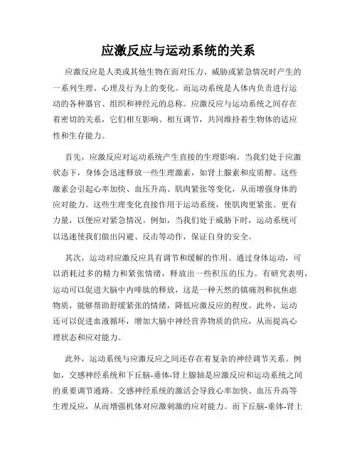 应激反应与运动系统的关系