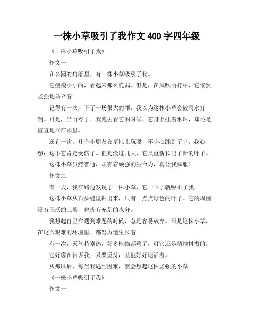 一株小草吸引了我作文400字四年级