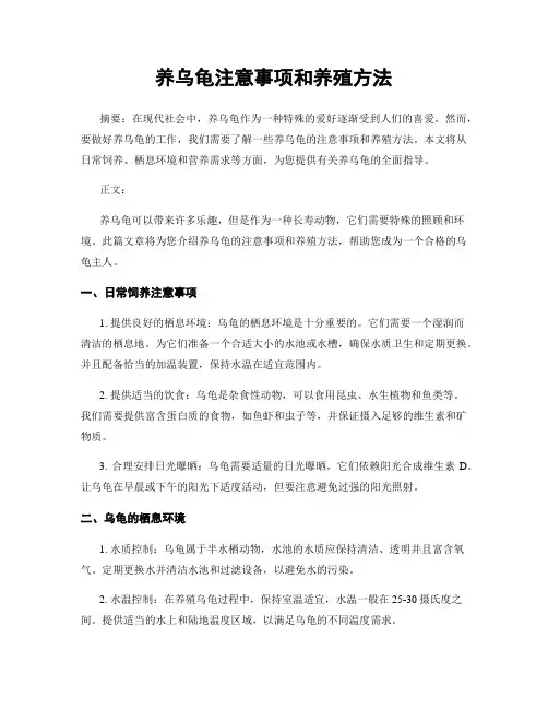 养乌龟注意事项和养殖方法