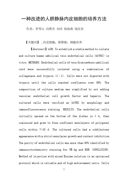 一种改进的人脐静脉内皮细胞的培养方法