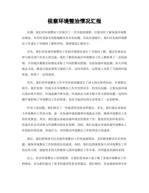 视察环境整治情况汇报