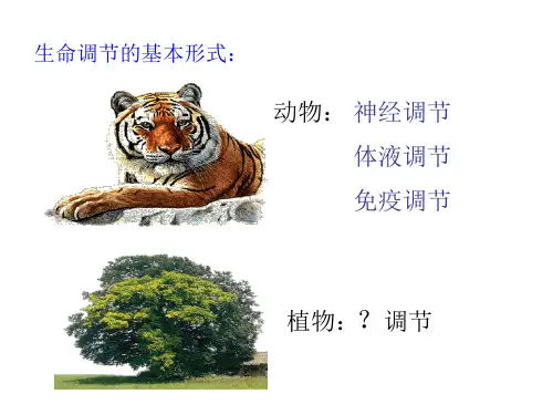 植物生长素的发现PPT课件2