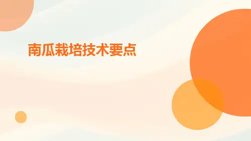 南瓜栽培技术要点