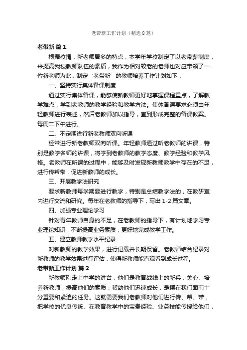 老带新工作计划（精选8篇）