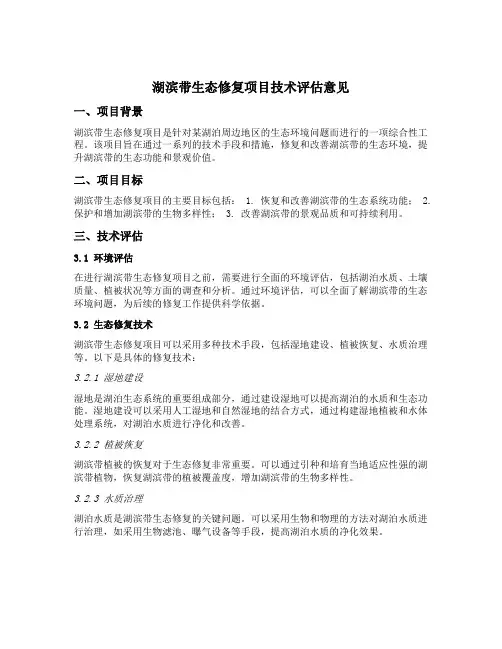 湖滨带生态修复项目技术评估意见