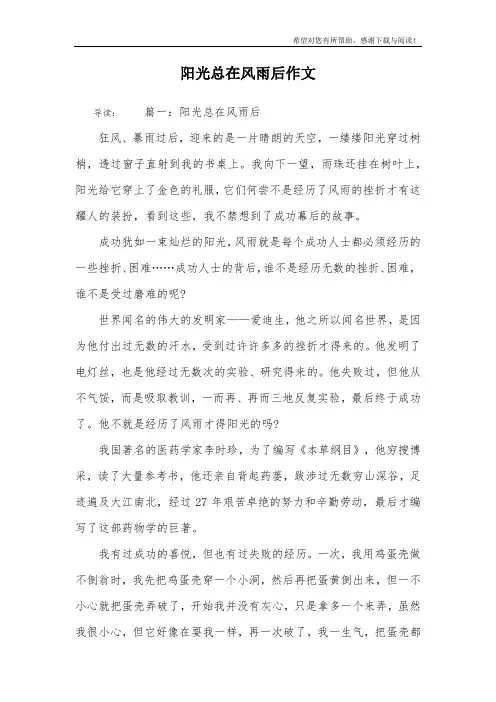 阳光总在风雨后作文