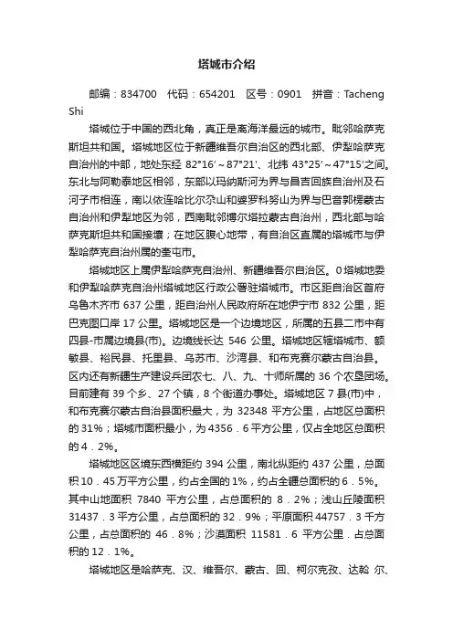 塔城市介绍