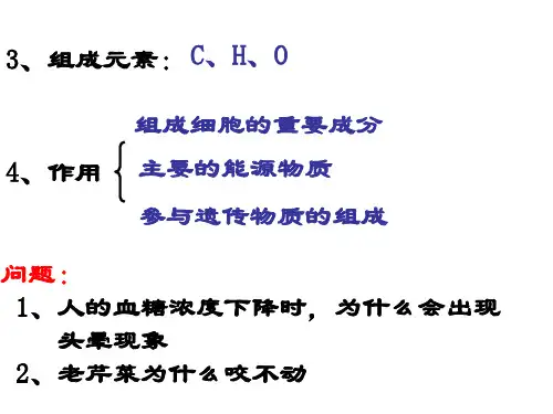高二生物细胞的化学成分2(PPT)5-3