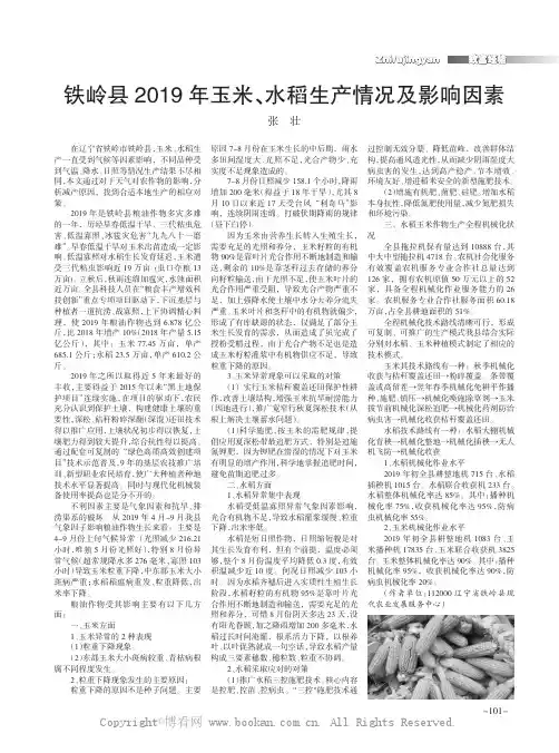 铁岭县2019年玉米、水稻生产情况及影响因素