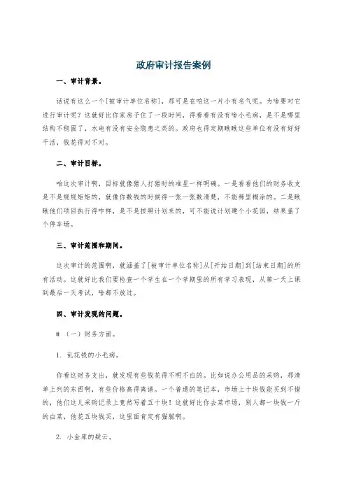 政府审计报告案例