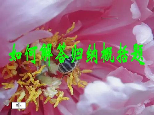 归纳概括题