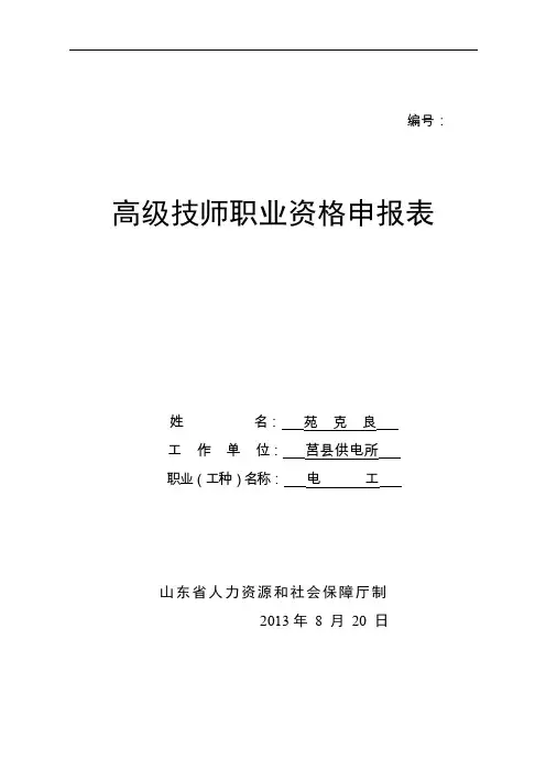 高级技师职业资格申报表
