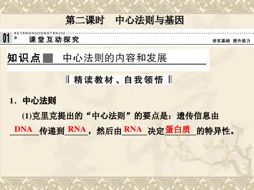 -高中生物 3.4.2 中心法则与基因课件 浙科版必修2