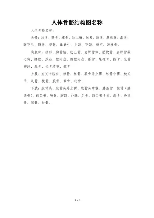 人体骨骼结构图名称