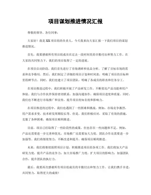 项目谋划推进情况汇报