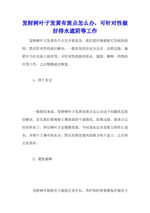 发财树叶子发黄有斑点怎么办,可针对性做好排水遮阴等工作