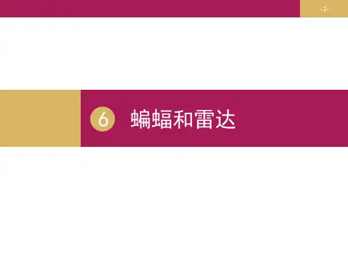 部编版语文四年级上册6蝙蝠和雷达课件(共20张PPT)
