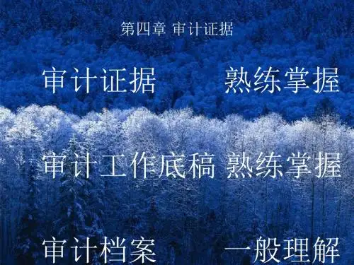 第四章 审计证据1