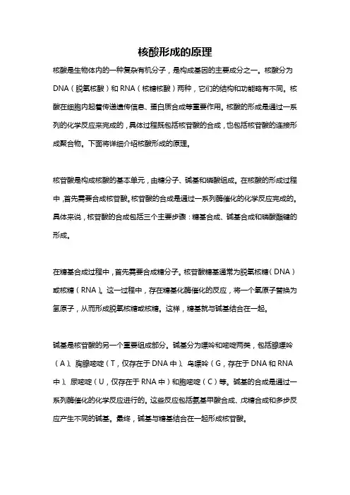 核酸形成的原理