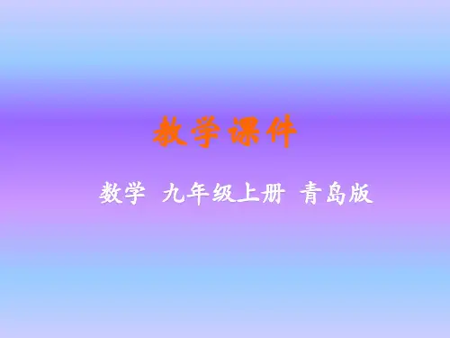 青岛版九年级数学上册课件3.1  圆的对称性