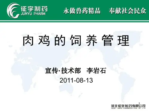 《肉鸡的饲养管理》PPT幻灯片