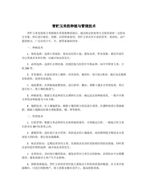 青贮玉米的种植与管理技术