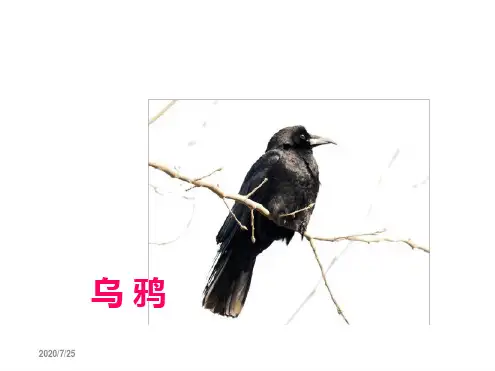 三年级语文上册课件好伙伴1