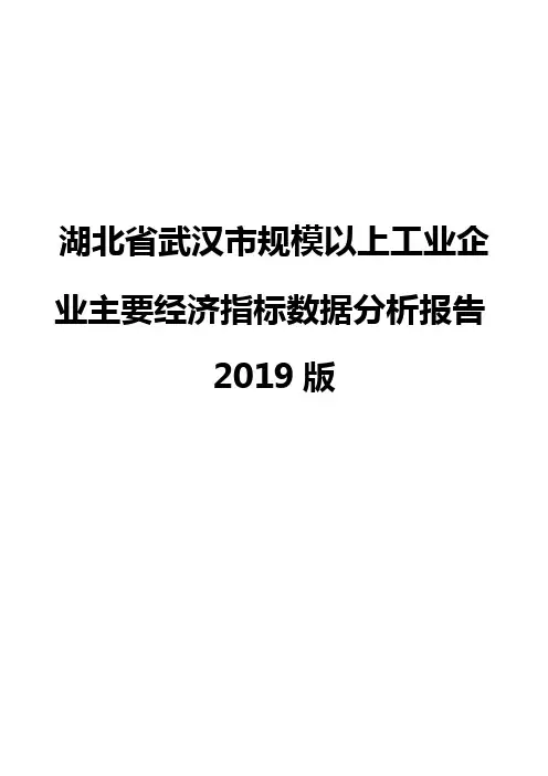 湖北省武汉市规模以上工业企业主要经济指标数据分析报告2019版