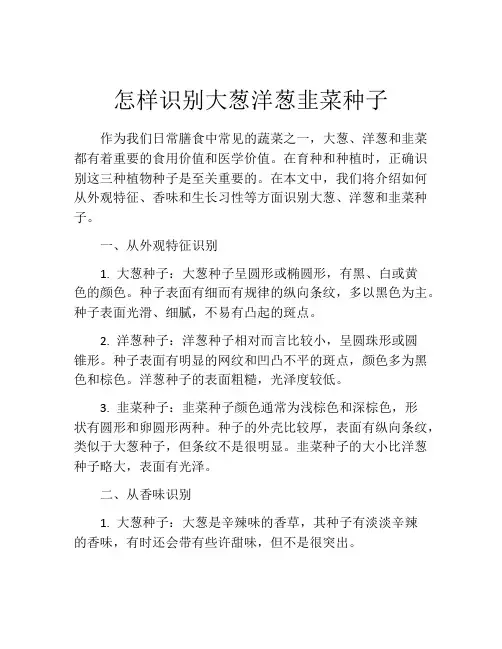 怎样识别大葱洋葱韭菜种子