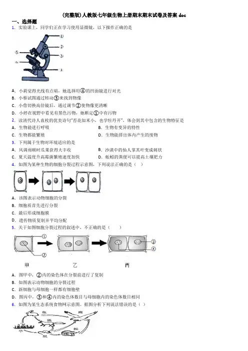 (完整版)人教版七年级生物上册期末期末试卷及答案doc